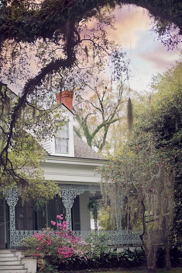 The Myrtles Bed & Breakfast Saint Francisville Exterior photo